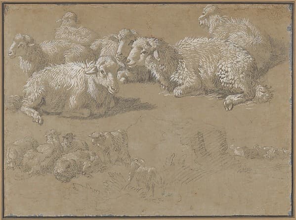 Reclining Sheep in a Landscape
