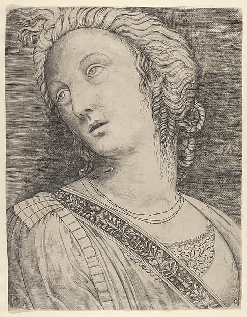Bust of a woman with her head turned to the left