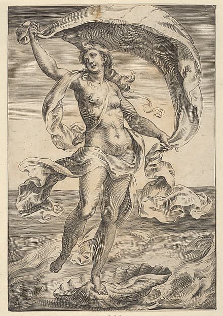 Venus on a half-shell, holding fabric over her head