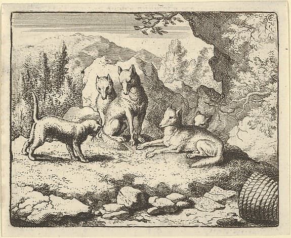 The Cat Calls Renard to Appear before the Tribunal from Hendrick van Alcmar's Renard The Fox