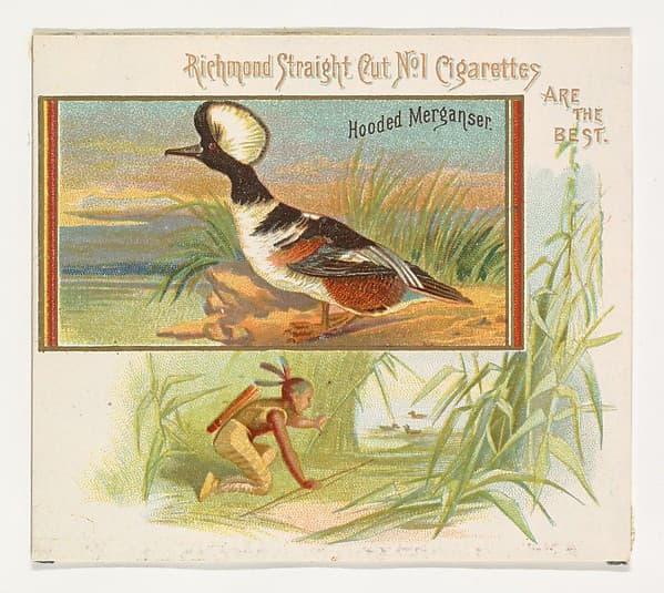Hooded Merganser, from the Game Birds series (N40) for Allen & Ginter Cigarettes
