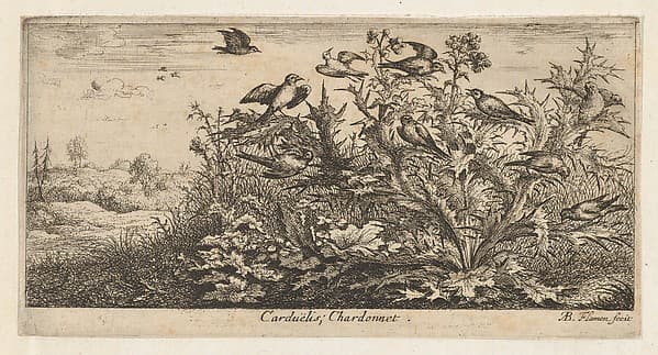 Carduëlis, Chardonnet (The Goldfinch), from "Livre d'Oyseaux" (Book of Birds)