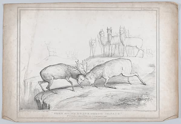 "None But the Brave Deserve the Fair" – Mr. E. Landseer's admired Picture seen in a new point of view