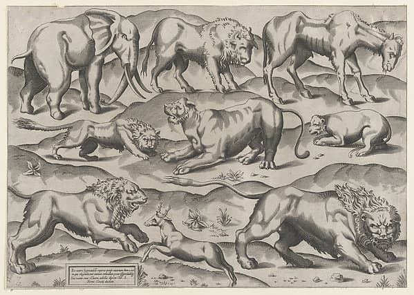 Speculum Romanae Magnificentiae: Wild Animals, from antique wall paintings, plate 1