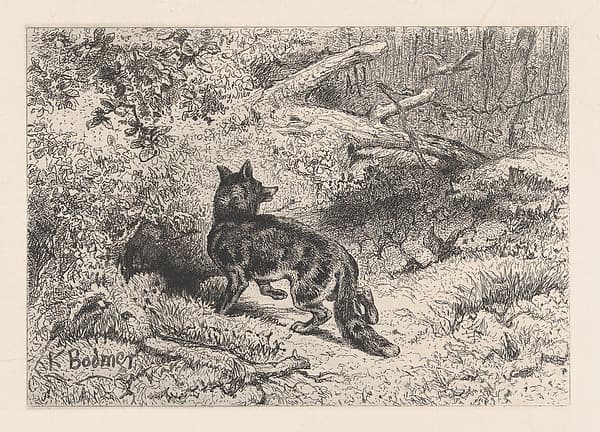A Fox, from "Eaux-Fortes Animaux & Paysages"