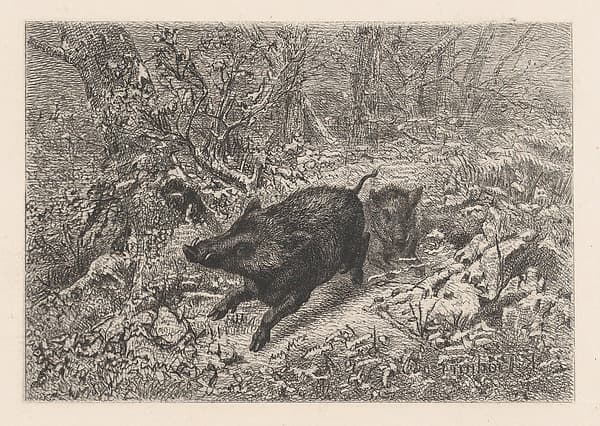Wild Boar, from "Eaux-Fortes Animaux & Paysages"