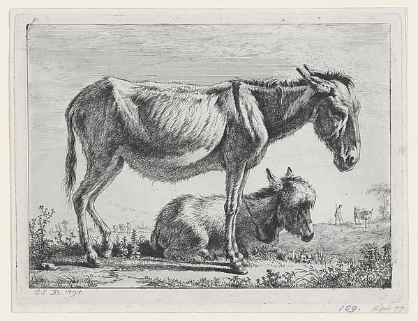 Jenny with its Foal