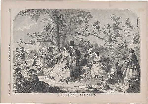 Picnicking in the Woods (from "Harper's Weekly," Vol. II)