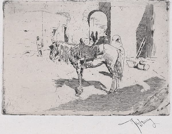 A Moroccan horse standing before an arch