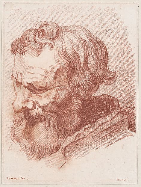 Head of a man with a beard
