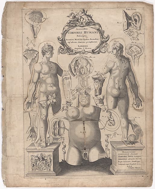 A Survey of the Microcosme or the Anatomie of the Bodies of Man and Woman wherein the Skin, Veins, Nerves, Muscles, Bones, Sinews and Ligaments Thereof are Accurately Delineated, and so Disposed by Pasting, as that Each Part of the Said Bodies Both Inward and Outward are Exactly Represented. Useful for all Doctors, Chyrurgeons, Statuaries, Painters, &c.