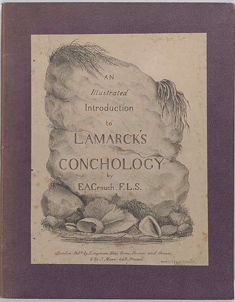 An Illustrated Introduction to Lamarck's Conchology; Contained in His Histoire Naturelle des Animaux Sans Vertèbres: Being a Literal Translation of the Descriptions of the Recent and Fossil Genera.