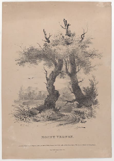 Mount Vernon with hidden silhouette of George Washington