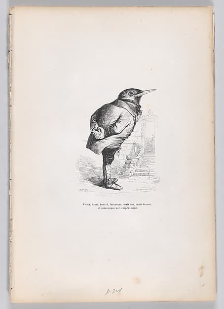 "Old, broken, haggard, whimsical, yet good, yet dedicated, and domestic by temperament" from Scenes from the Private and Public Life of Animals
