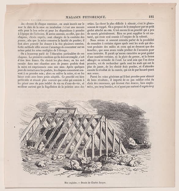 Mue anglaise; from Magasin Pittoresque