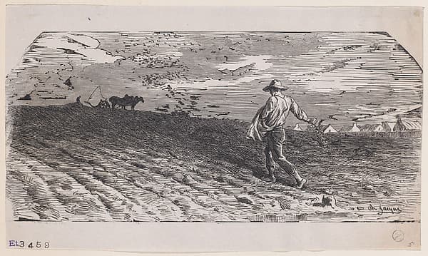 The Sower