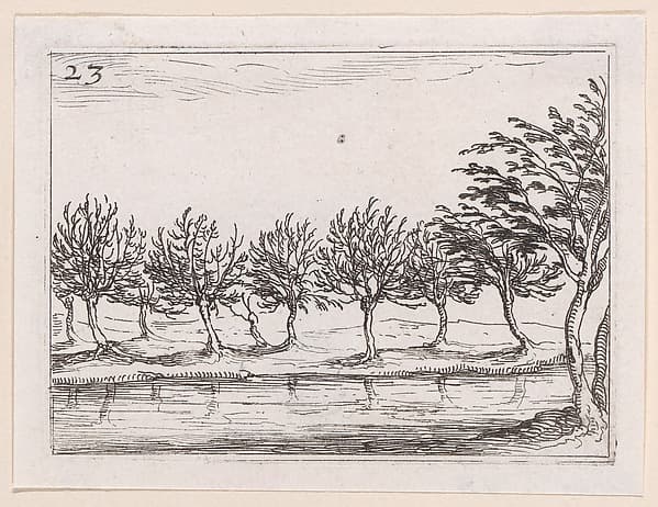 Le Saules au Bord de l'Eau (The Willows at the Waterfront), from Lux Claustri ou La Lumière du Cloitre (The Light of the Cloisters), plate 23