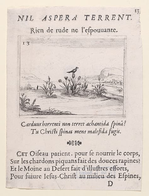 L'Oiseau Posé sur un Chardon en Fleurs (The Bird Standing on Thistle Flower), from Lux Claustri ou La Lumière du Cloitre (The Light of the Cloisters), plate 13