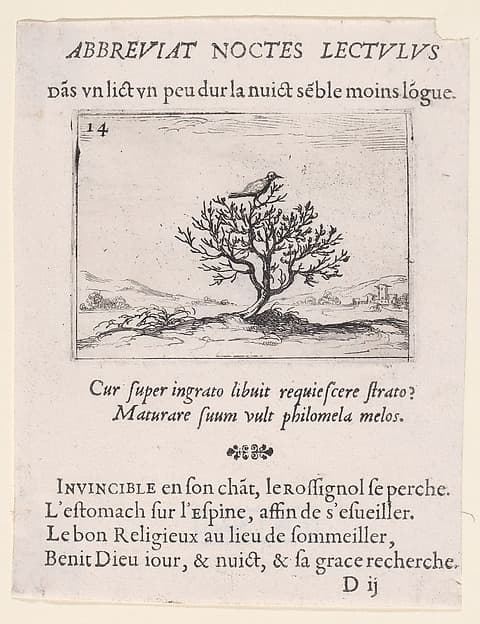 Le Rossignol Posé sur un Buisson (A Nightengale Standing on a Bush), from Lux Claustri ou La Lumière du Cloitre (The Light of the Cloisters), plate 14