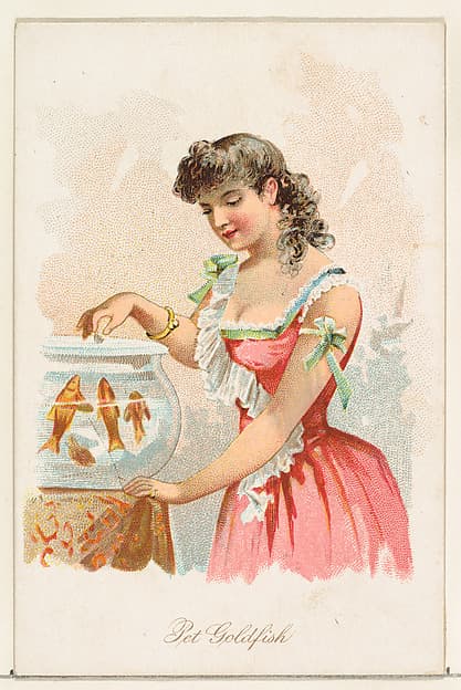 Pet Goldfish, from the Household Pets series (N194) issued by Wm. S. Kimball & Co.