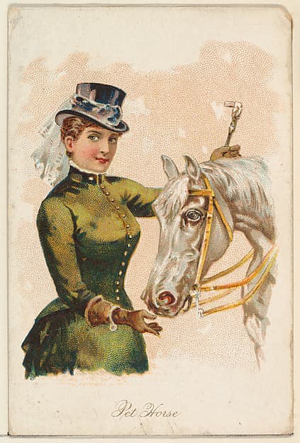 Pet Horse, from the Household Pets series (N194) issued by Wm. S. Kimball & Co.