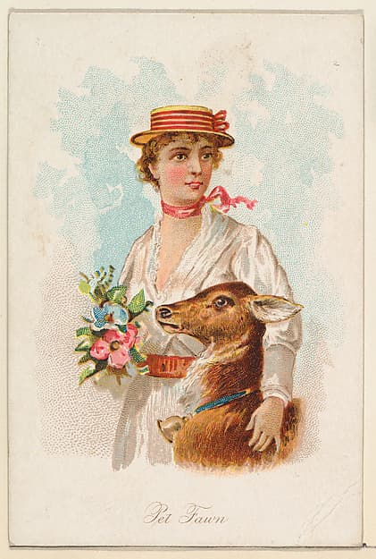 Pet Fawn, from the Household Pets series (N194) issued by Wm. S. Kimball & Co.