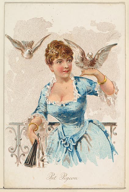 Pet Pigeon, from the Household Pets series (N194) issued by Wm. S. Kimball & Co.