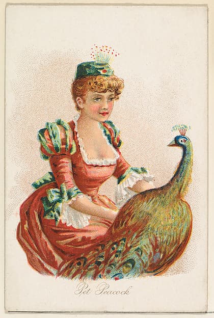 Pet Peacock, from the Household Pets series (N194) issued by Wm. S. Kimball & Co.