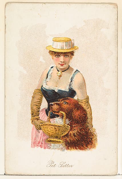 Pet Setter, from the Household Pets series (N194) issued by Wm. S. Kimball & Co.
