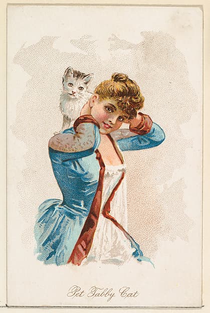 Pet Tabby Cat, from the Household Pets series (N194) issued by Wm. S. Kimball & Co.