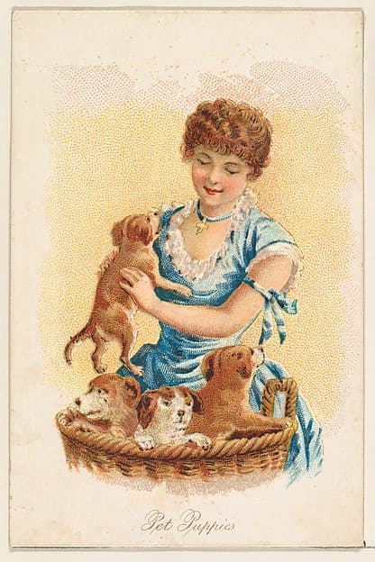 Pet Puppies, from the Household Pets series (N194) issued by Wm. S. Kimball & Co.