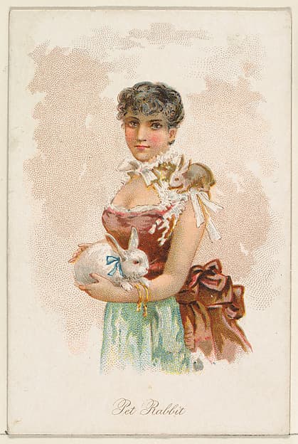 Pet Rabbit, from the Household Pets series (N194) issued by Wm. S. Kimball & Co.