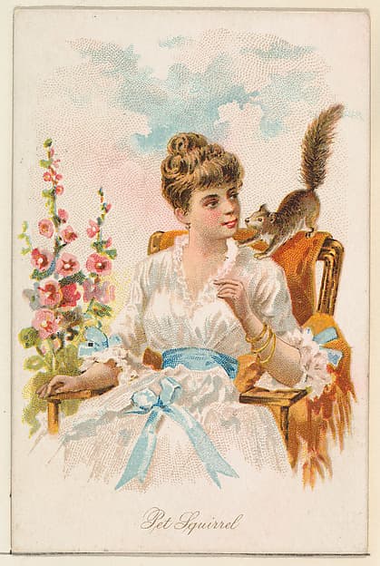 Pet Squirrel, from the Household Pets series (N194) issued by Wm. S. Kimball & Co.