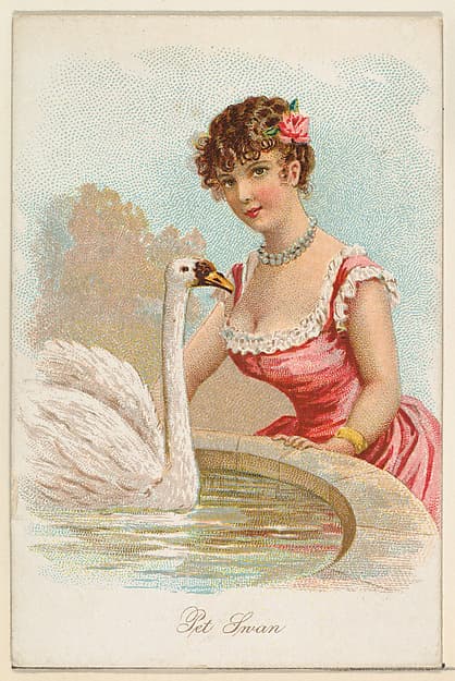 Pet Swan, from the Household Pets series (N194) issued by Wm. S. Kimball & Co.