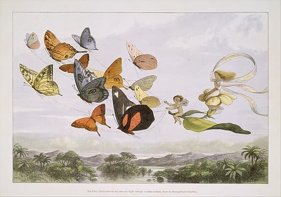 The Fairy Queen Takes an Airy Drive in a Light Carriage, a Twelve-in-hand, drawn by Thoroughbred Butterflies
