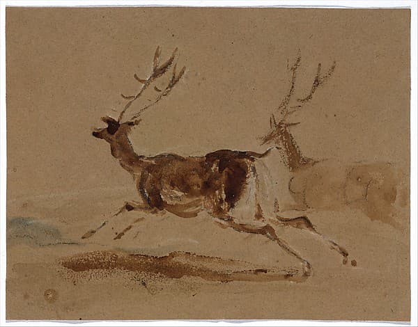 Two Stags Running