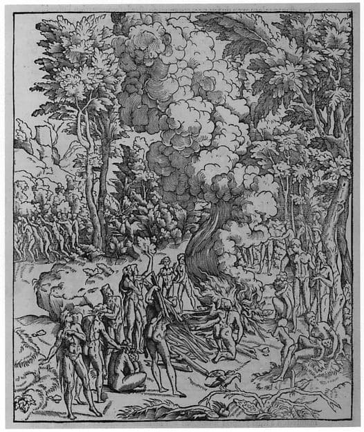 Architecture, ou, Art de bien bastir de Marc Vitruve Pollion, autheur romain antique; mis de latin en francoys par Ian Martin