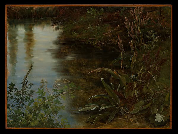 Study of Water and Plants