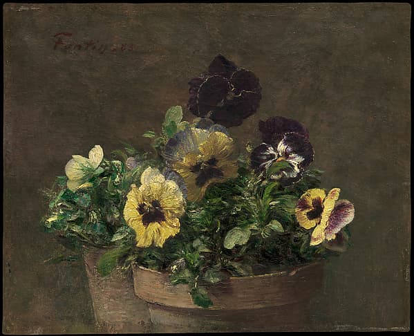 Potted Pansies