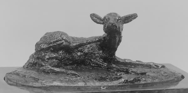 Fawn Scratching (Faon se grattant)