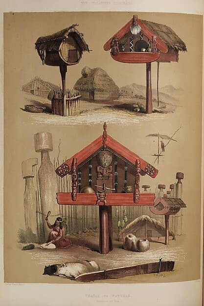 Portrait of Angas, George French