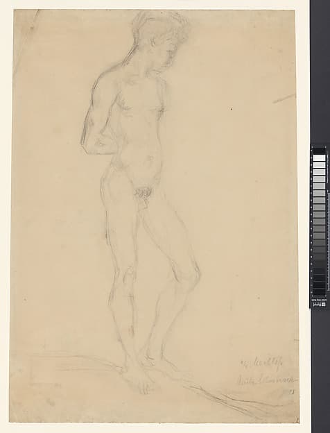 Male Nude Model
