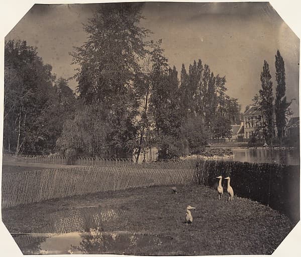[Heron Pond, Zoological Gardens, Brussels]