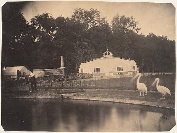 [The Pelicans and Greenhouses, Zoological Gardens, Brussels]