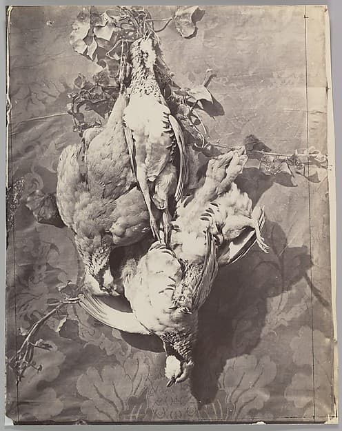 [Still Life with Game Birds]