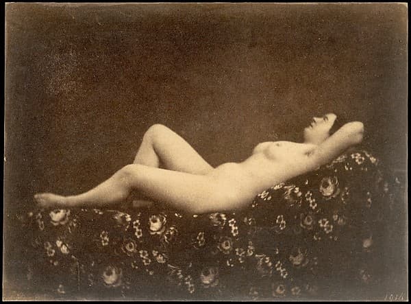 [Female Nude, Reclining, in Profile]