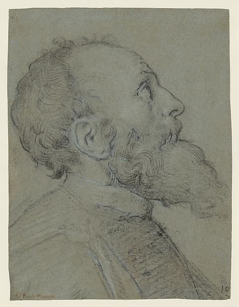 Head of a Bearded Man