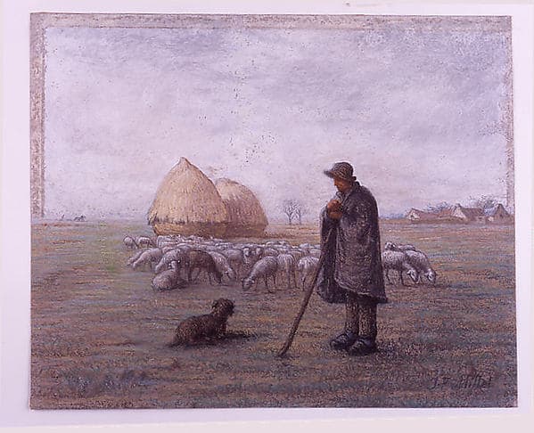 Shepherd and His Flock