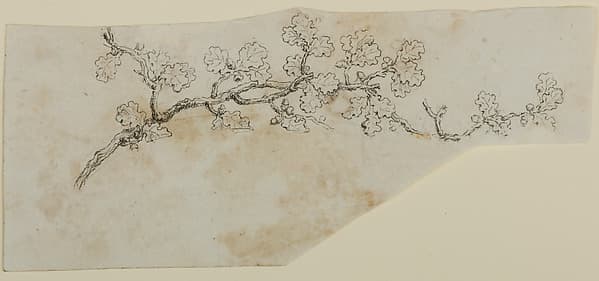 Design for the Decoration of Firearms