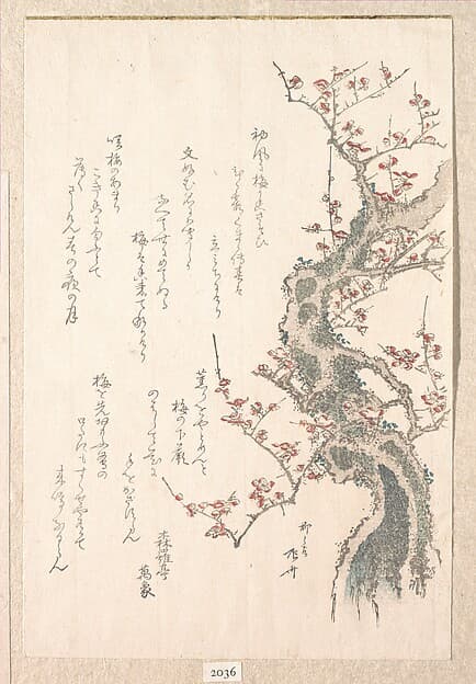 『春雨集』 摺物帖柳々居辰斎画 紅梅|Spring Rain Collection (Harusame shū), vol. 1: Plum Tree in Bloom
